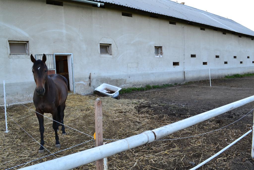 Penzion Eqilon Ξενοδοχείο Mělník Εξωτερικό φωτογραφία